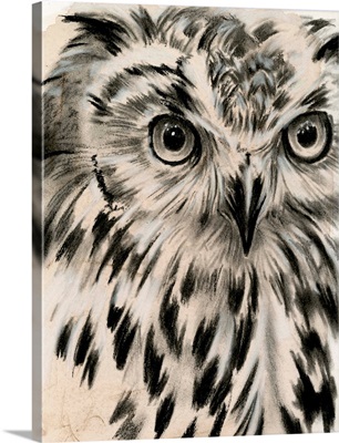 Charcoal Owl I