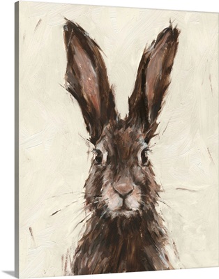 European Hare I