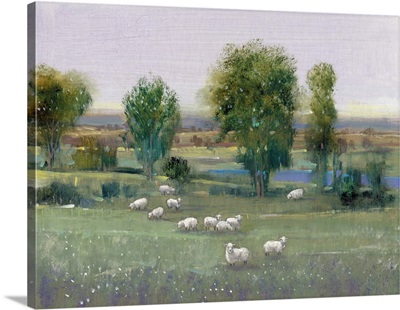 Field of Sheep I