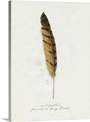 Found Feather III