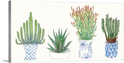 Four Succulents I