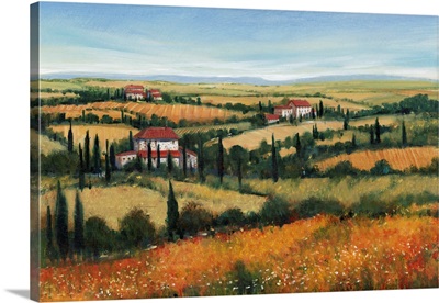 Hills Of Tuscany II