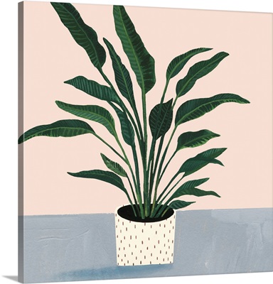 Houseplant IV