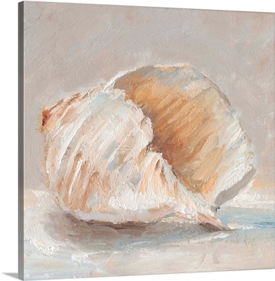 Impressionist Shell Study IV