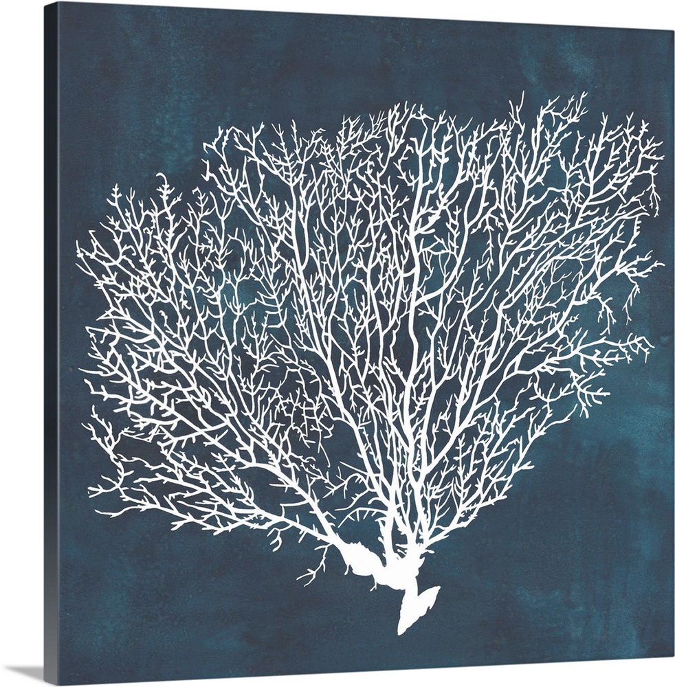 Contemporary nautical themed artwork of a sea fan in white against a dark navy blue background.