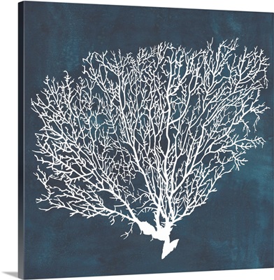 Inverse Sea Fan II