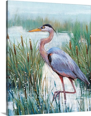 Marsh Heron II