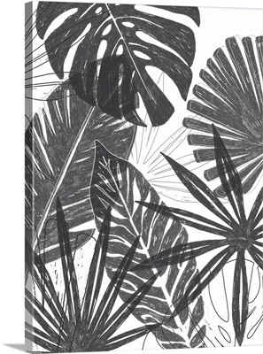 Palm Shadows I