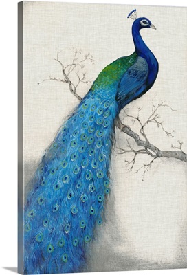 Peacock Blue I