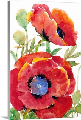 Poppy Floral II