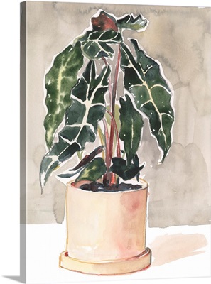 Potted Houseplant I