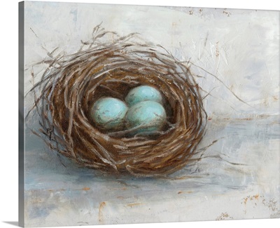 Rustic Bird Nest I