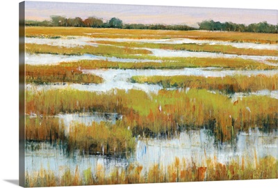 Serene Marshland II