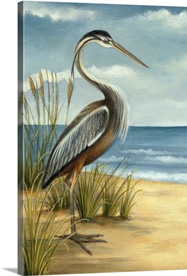 Shore Bird I