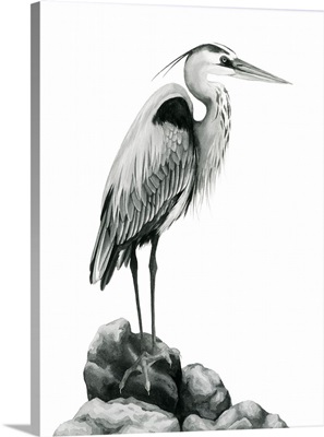 Shoreline Heron In B&W I