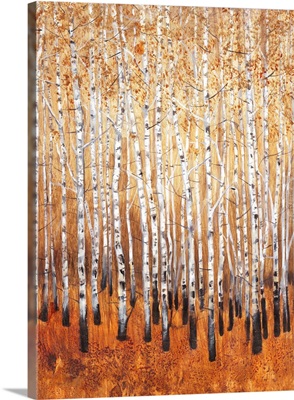 Sienna Birches I