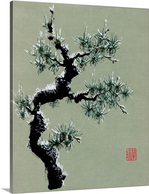 Snowy Pine II