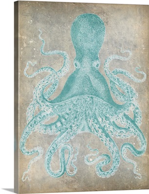 Spa Octopus I