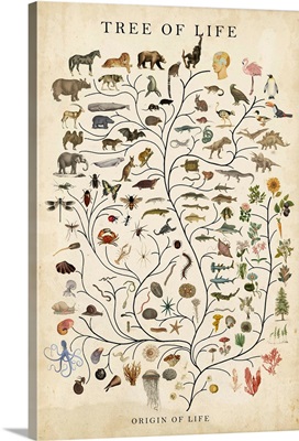 Tree Of Life