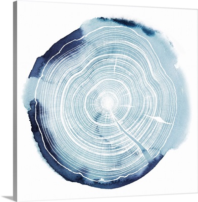 Tree Ring Overlay III