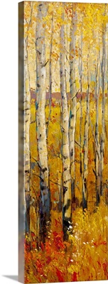 Vivid Birch Forest II