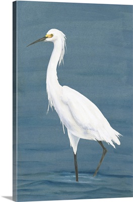 Wading Egret II