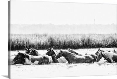 Water Horses III