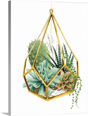 Wild Terrarium II