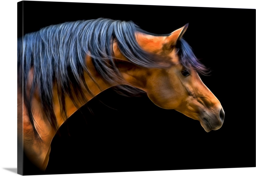 Fine art photo of the head and neck of a horse, with mane blowing in the wind.