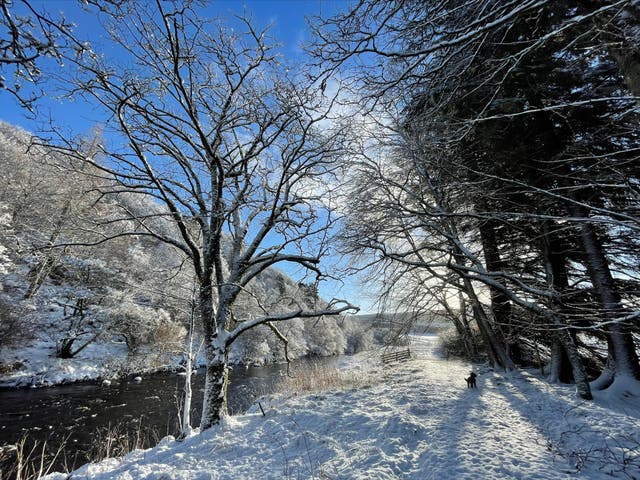 <p>Disruption for roads and railways is expected after a yellow weather warning was issued for snow across northern parts of Scotland</p>