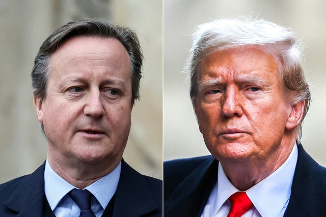 <p>Cameron criticised Trump when both men were heads of state but now is a good time to breach protocols </p>