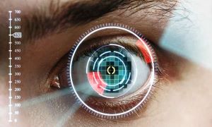 Retina or Iris Scanner