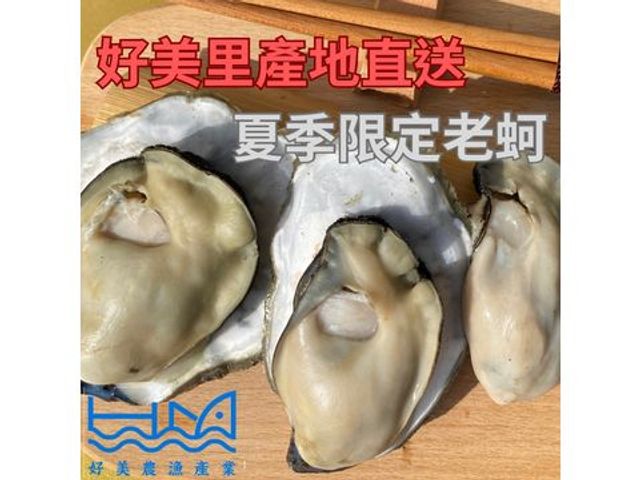 【夏日限定 - 鮮甜帶殼爆汁大生蠔 5斤裝】每口滿滿蠔味，過了這個村，沒這個店！