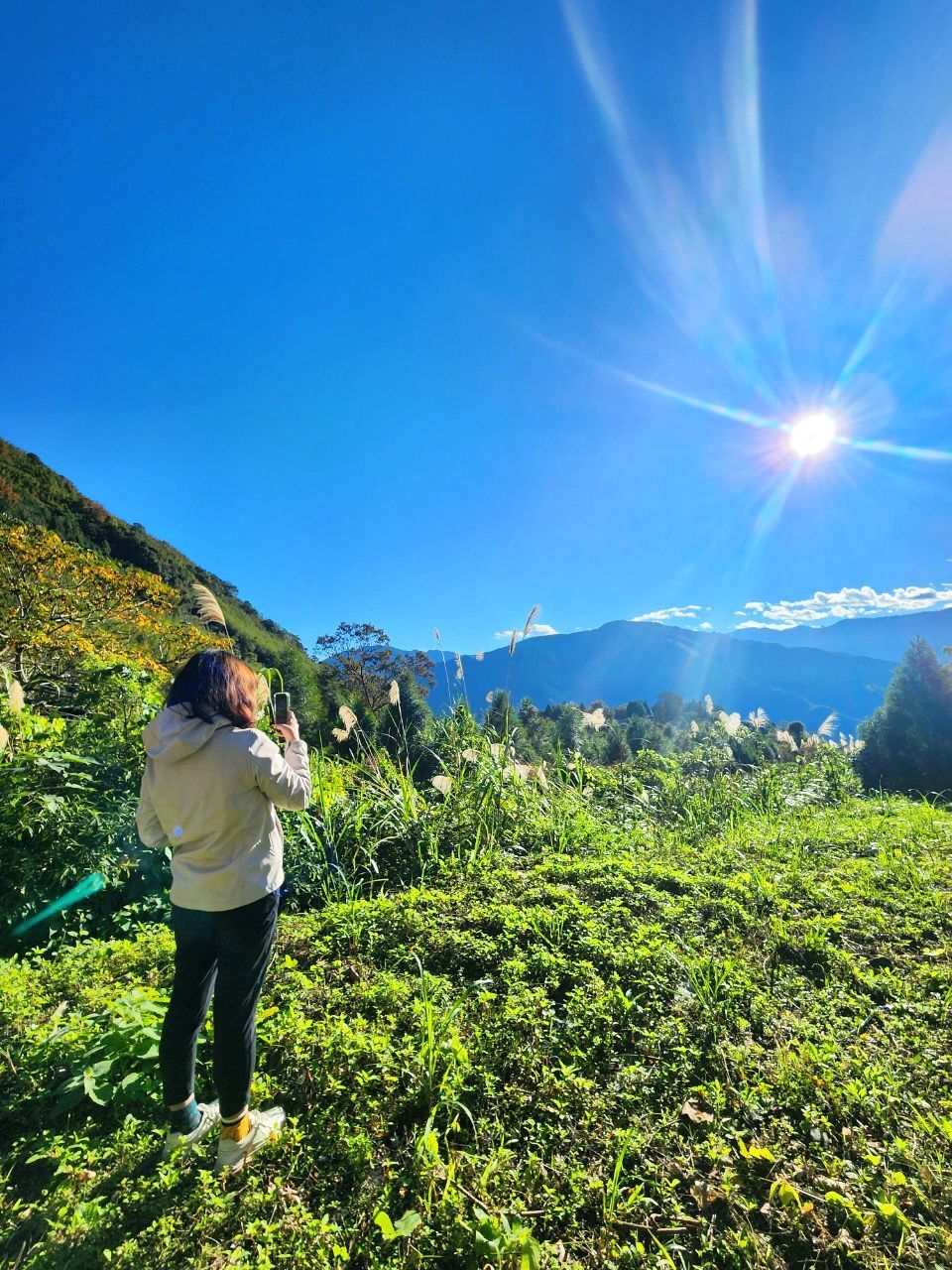 [新竹五峰鄉] 迦南山莊民宿｜新竹縣山中民宿推薦｜用最chi