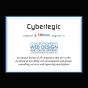 Agencja Cybertegic (lokalizacja: Los Angeles, California, United States) zdobyła nagrodę One of the 10 Most Promising Web Design and Development Companies by CIOReview