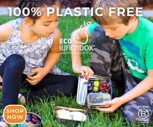 Shop Eco-Friendly Back to School Lunch Boxes at ECOlunchboxes