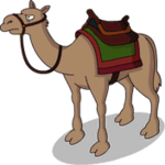 Camel.png