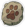 Animal Track.png