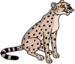 Cheetah.png