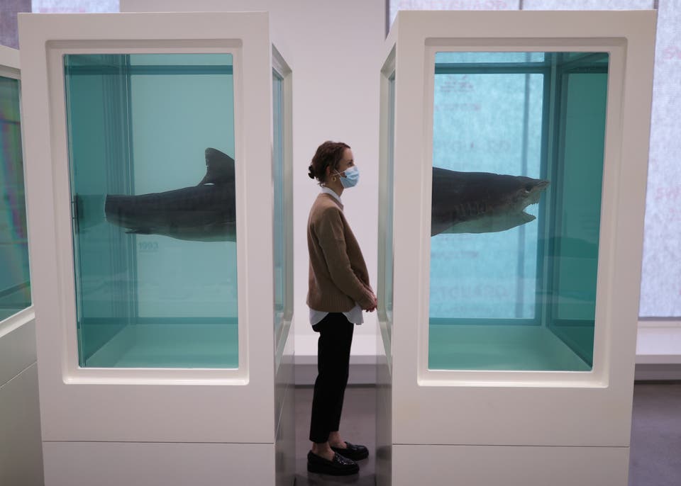 Damien Hirst exhibition at Newport Street Gallery