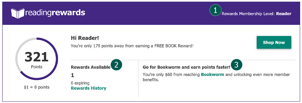 image of the ReadingRewards dashboard