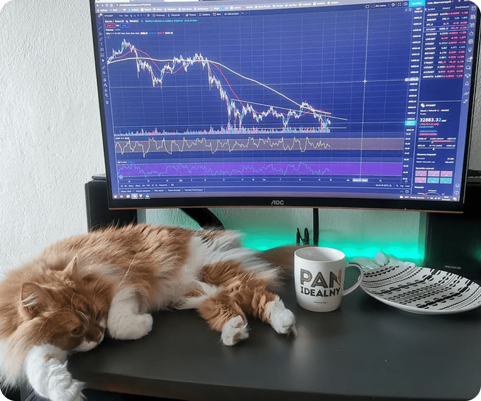 Grafico TradingView su Instagram @cryptokitku