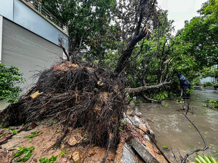 Storm Prapiroon downgrades into tropical depression, hitting Vietnam’s Quang Ninh