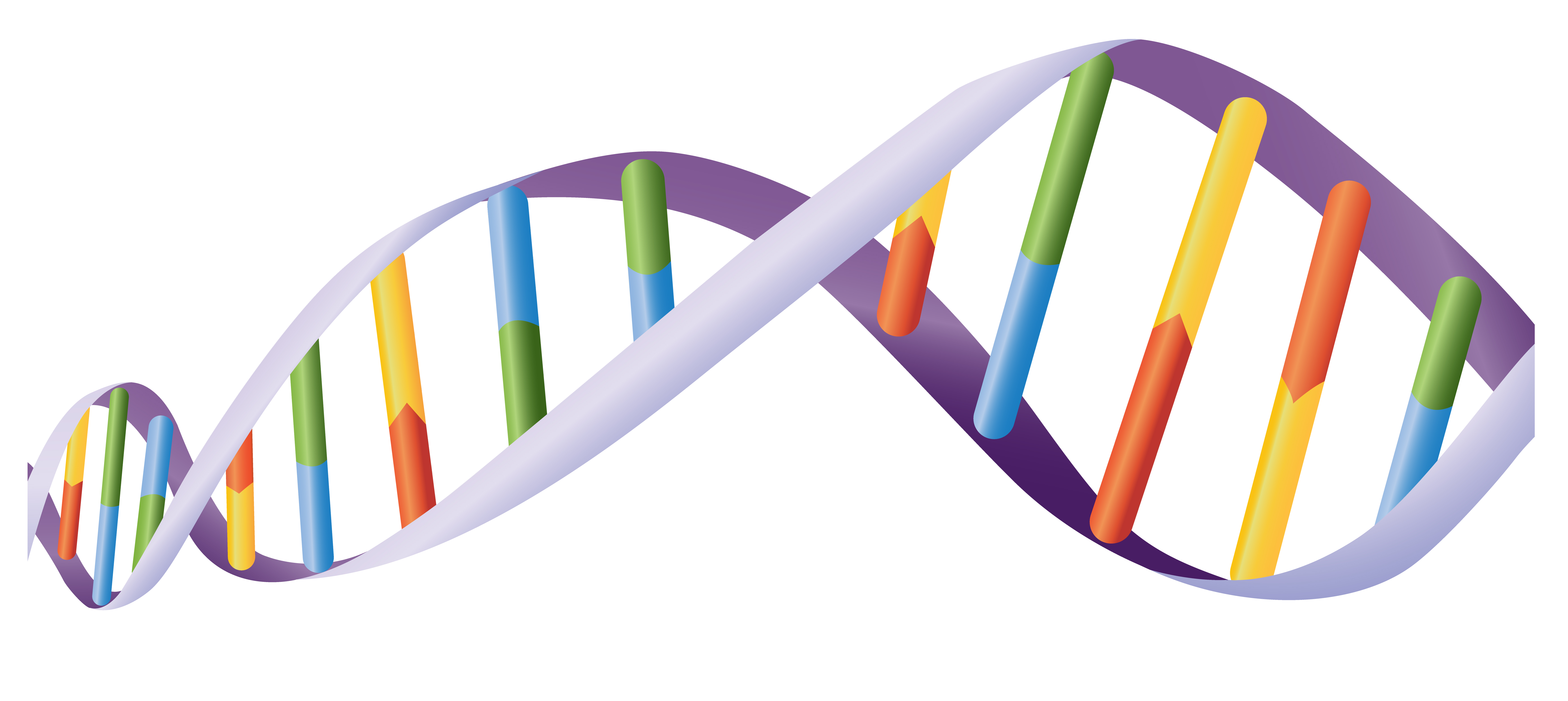 Dna Clipart Animations