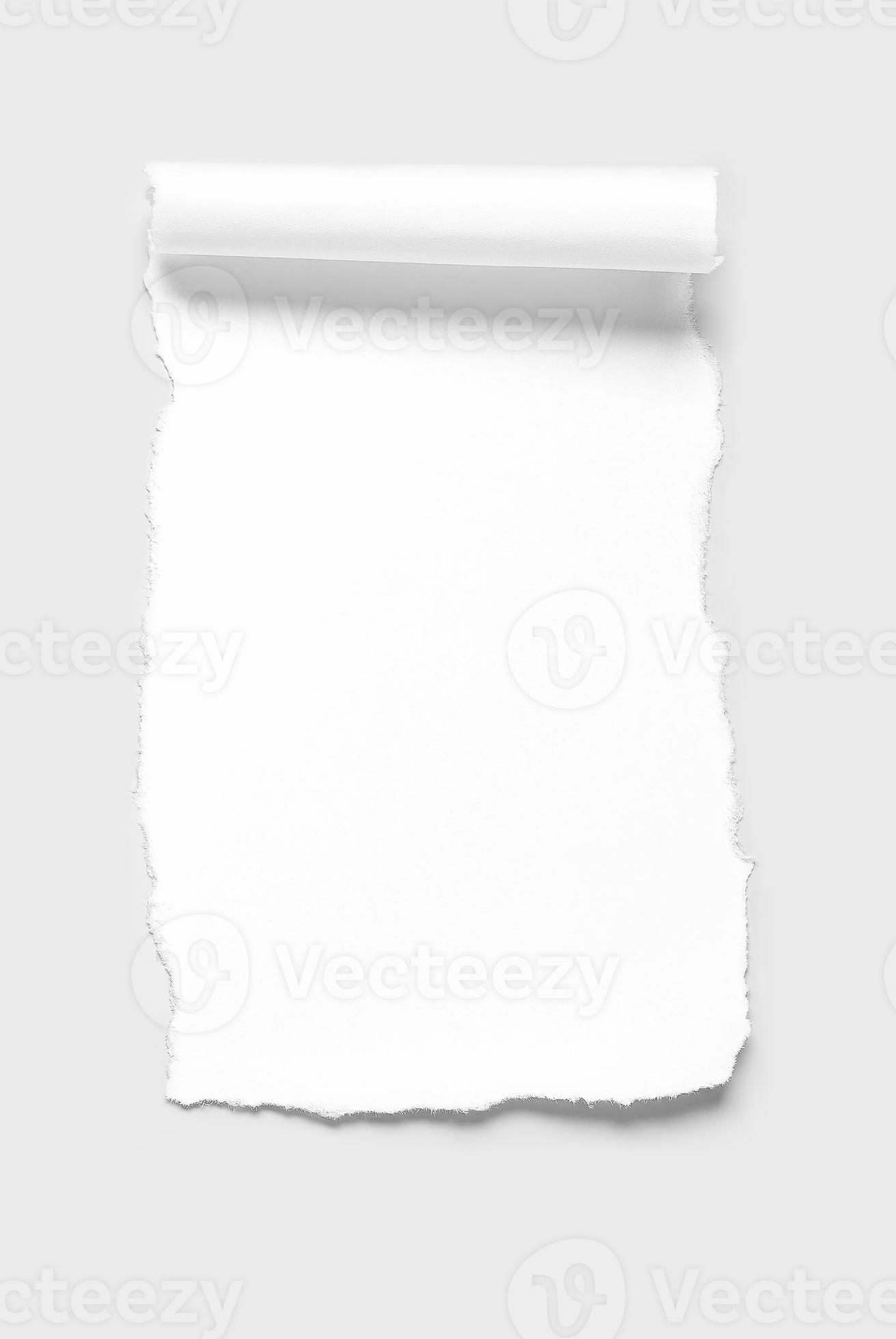 Blank paper scrap with scrolled edge over gray background 750884 Stock ...