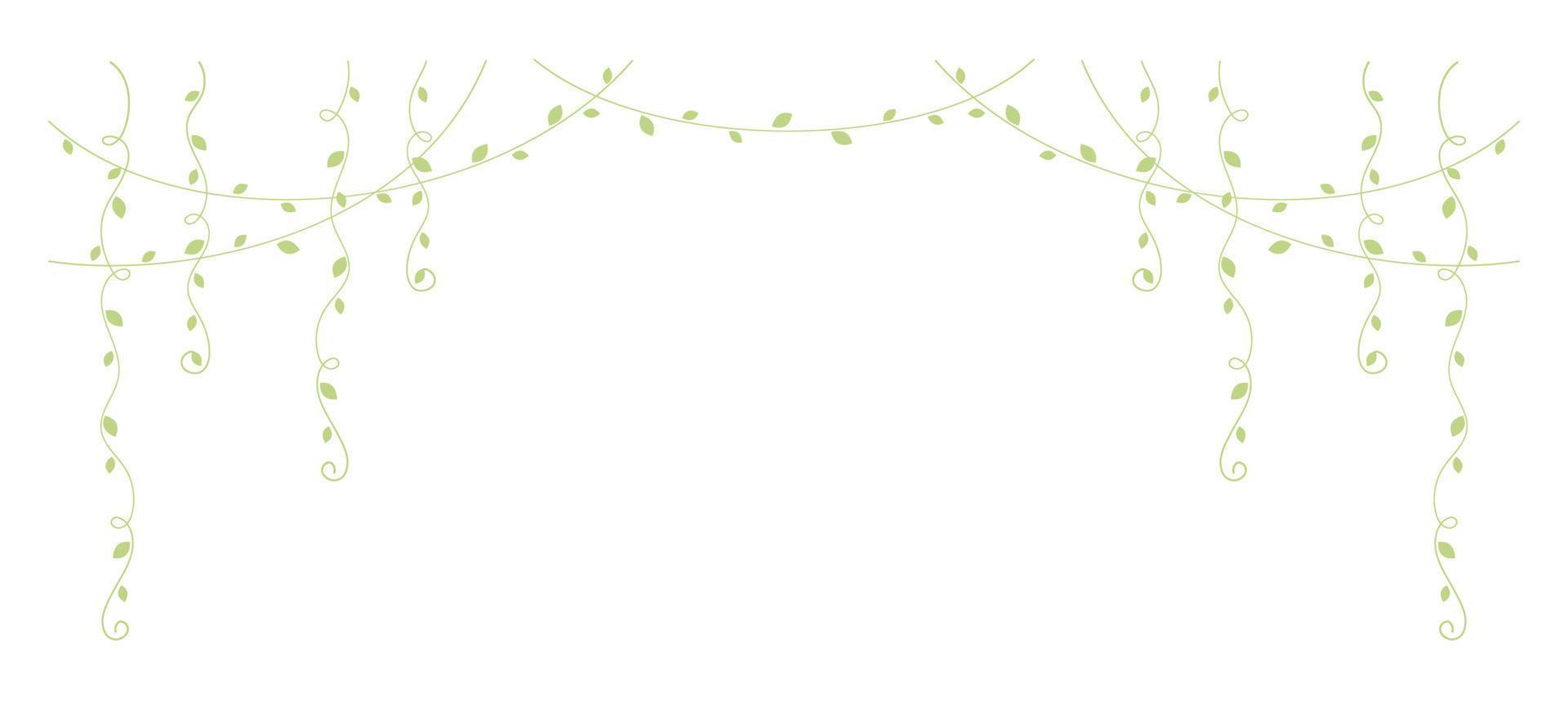 Green hanging vines vector illustration. Simple minimal floral botanical vine curtain design elements for spring.