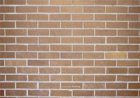 Brick Wall Vector Background