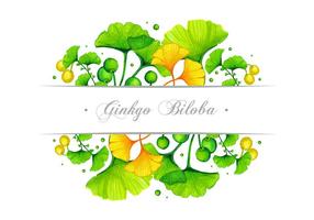 Ginkgo Banner Vector Design