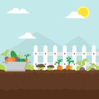 Vegetable Garden Illustration vector