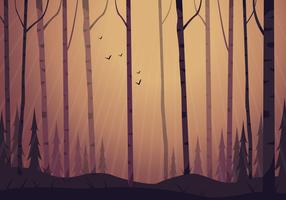 Vector Forest Landscape Illustration